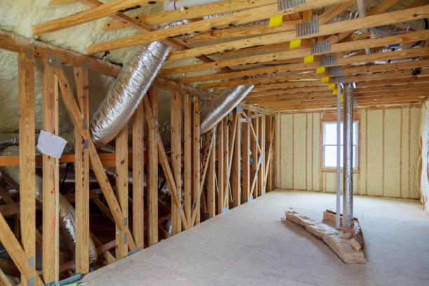 Best Insulation Maintenance and Repair in Guttenberg, IA